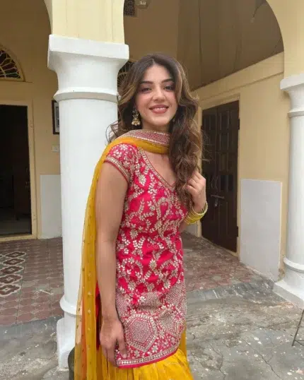 Pink and Yellow Patiala Suit - Punjabi Threads product image 1