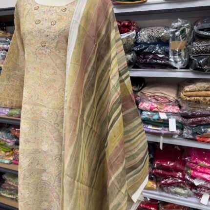 Elegant Beige Embroidered Punjabi Suit - Punjabi Threads product image 2