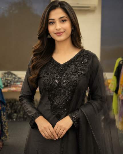 Midnight Noir Embroidered Farshi Salwar Suit - Punjabi Threads product image 2