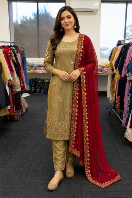 Royal Olive Heritage Embroidered Punjabi Suit - Punjabi Threads product image 2